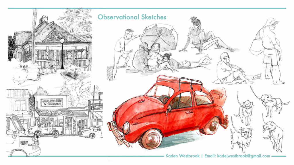 Observation sketches by Kaden Westbrook.