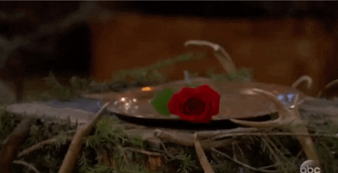 Rose gif from the bachelor.